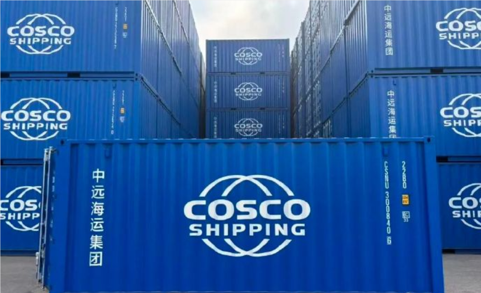 中国·y80000永利(集团)有限公司-官方网站